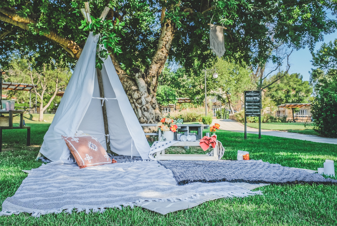 Picnic tent deals